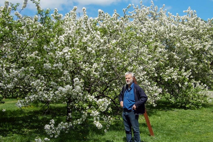 A-וושינגטון-יום-שישי-36