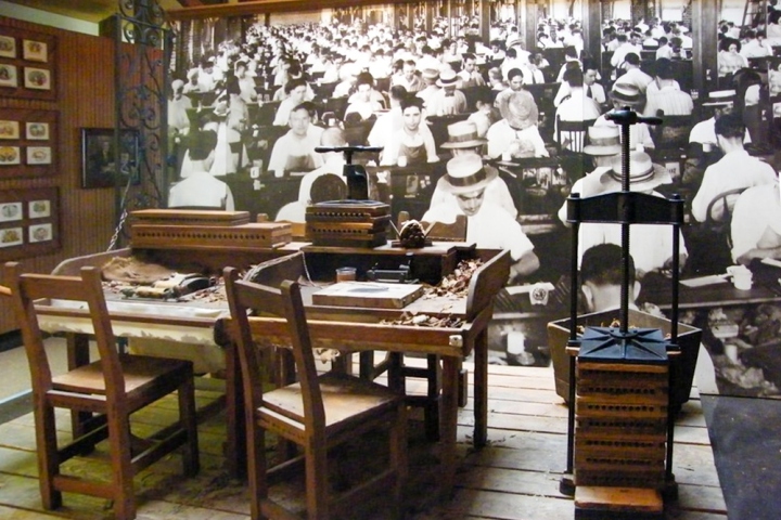 D-טמפה-פלורידה-54