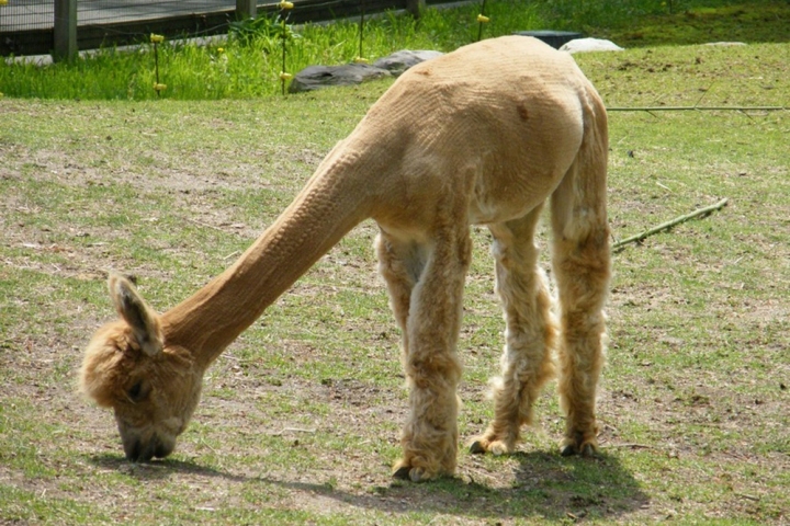 J-וושינגטון-יום-חמישי-076